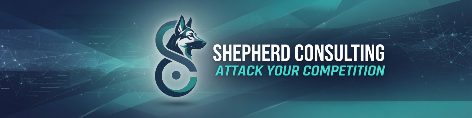 Shepherd Consulting: Attack Your Competition